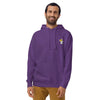 Minnesota Vikings Let's Skol Crazy Unisex Premium Hoodie ThatMNLife Purple / S Minnesota Custom T-Shirts and Gifts